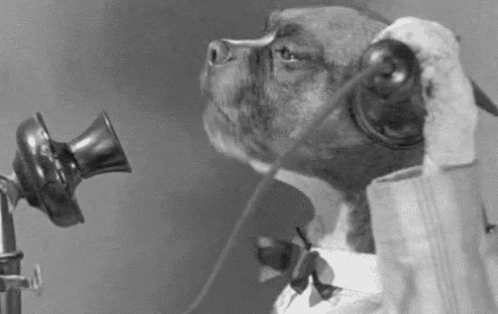 a black and white photo of a dog on a telephone .