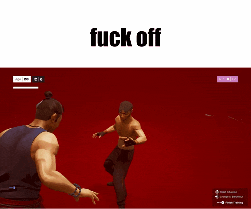 Sifu Fuck Off GIF