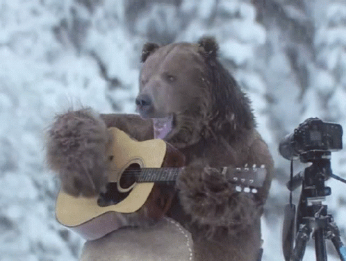 Bear Guitar Singing GIF - Bear Guitar Singing GIFs