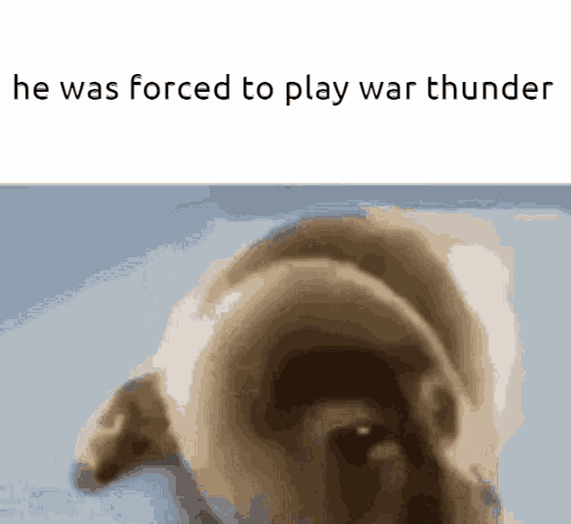 He Was Forced To Play War Thunder GIF - He Was Forced To Play War Thunder GIFs