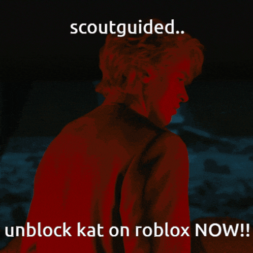 a poster that says scoutguided unblock kat on roblox now !