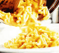 macaroni and cheese is poured into a white bowl