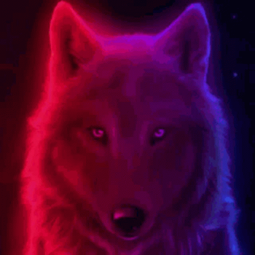 Alpha Wolf GIF - Alpha Wolf GIFs