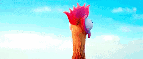 a close up of a chicken 's head with a blue sky in the background .