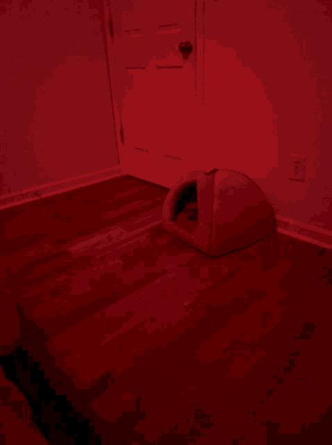 a cat is sleeping in a cat house in a hallway
