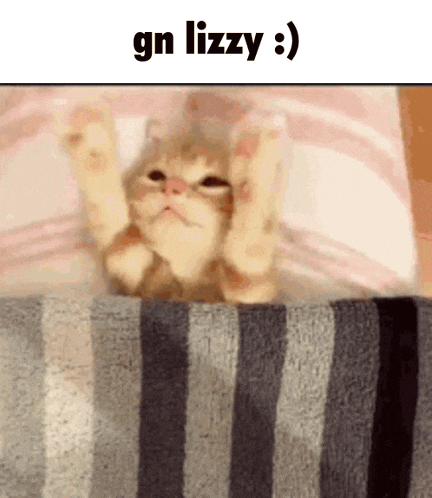 a cat is laying on a striped blanket with gn lizzy written on the bottom