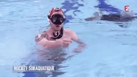 Underwater Hockey GIF - Underwater Hockey Swimningpool GIFs