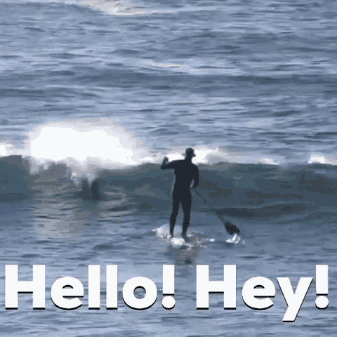 Hello There Hey You GIF - Hello There Hey You Dolphin GIFs