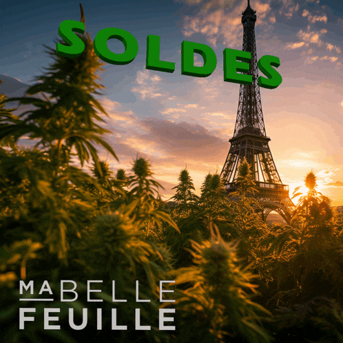 the eiffel tower is behind a field of marijuana plants with the words soldes above it