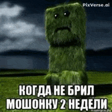 a picture of a creeper with a sad face and a caption in russian