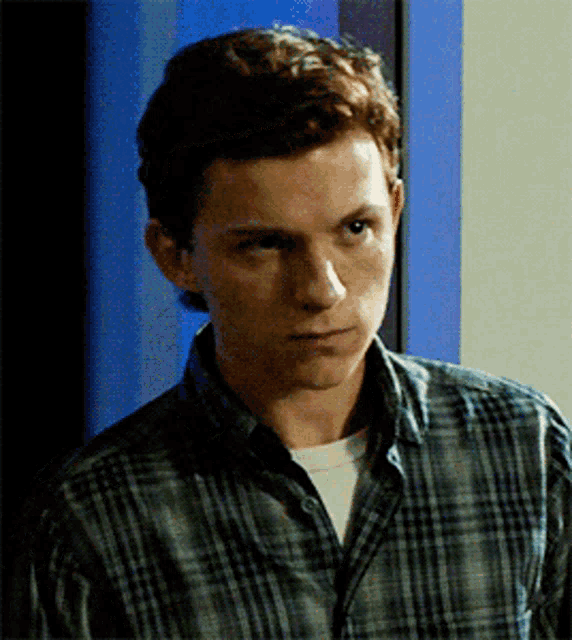 a man in a plaid shirt is standing in front of a blue door