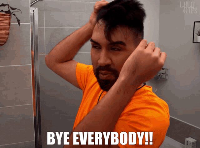 a man with a beard adjusts his hair in front of a mirror with the words bye everybody written below him
