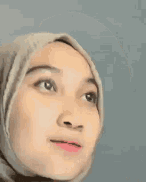 a woman wearing a hijab is smiling for the camera .