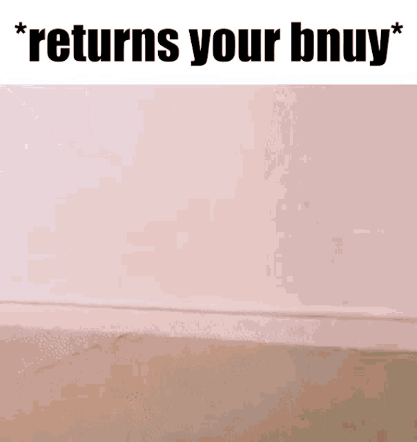 a picture of a pink wall with the words `` returns your bnuy '' written on it .