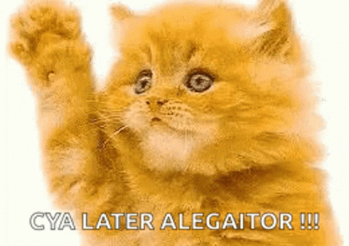 Cat Bye GIF - Cat Bye See You Later GIFs