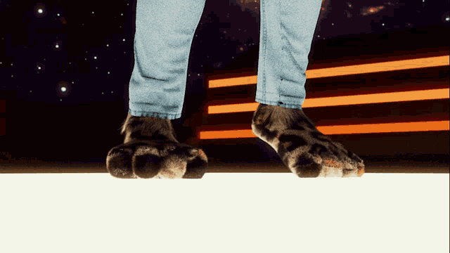 a person wearing a pair of furry paws standing on a staircase