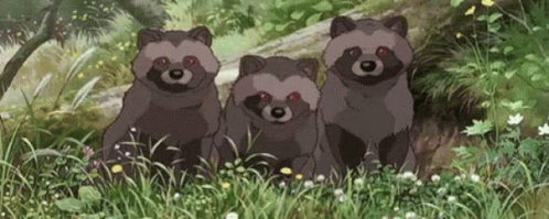 Pom Poko Studio Ghibli GIF - Pom Poko Studio Ghibli Discord GIFs