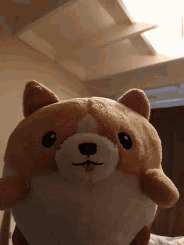 No Nugget The Dog GIF - No Nugget The Dog Stuffed Toy GIFs