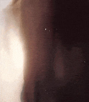 a close up of a person 's hair with a few drops of water coming out of it