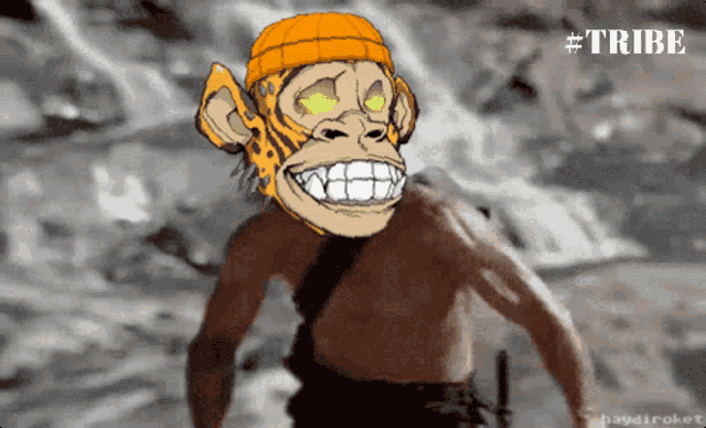 a drawing of a monkey wearing a beanie with the hashtag #tribe