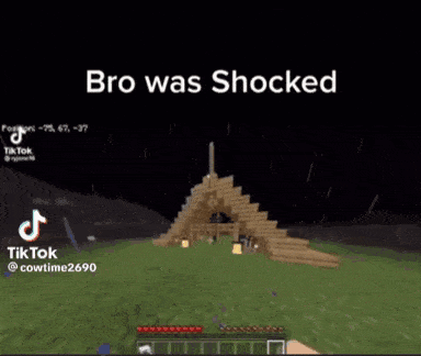 Minecraft Minecraft Memes GIF - Minecraft Minecraft Memes Bro Was Shocked GIFs