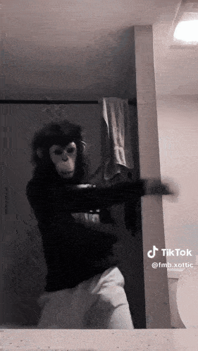 a person dressed as a monkey is dancing in front of a mirror