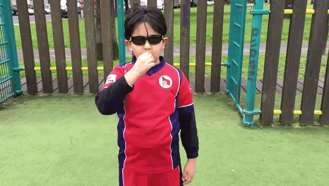 a young boy wearing sunglasses and a red shirt that says ' la fleur ' on it stands in front of a fence