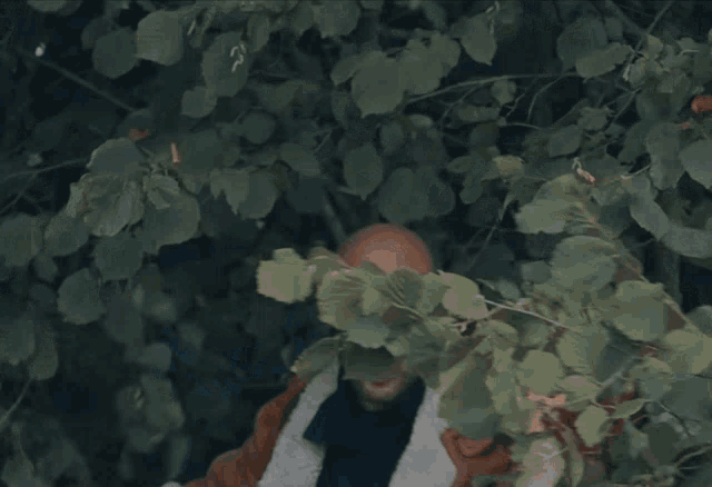 Fan2chauve O O GIF