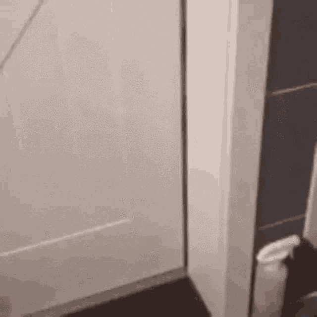 Cat Opening A Door GIF - Cat Opening A Door GIFs