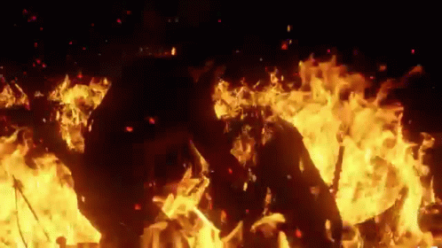 Rdr2 Campfire GIF - Rdr2 Campfire Cooking GIFs