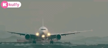 Your Flight Is Cancelled.Gif GIF - Your Flight Is Cancelled Flight Plane GIFs