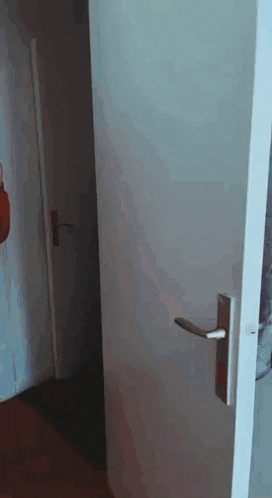 a white door with a silver handle is open