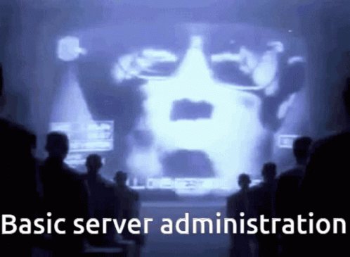 1984 Server GIF - 1984 Server Admin GIFs