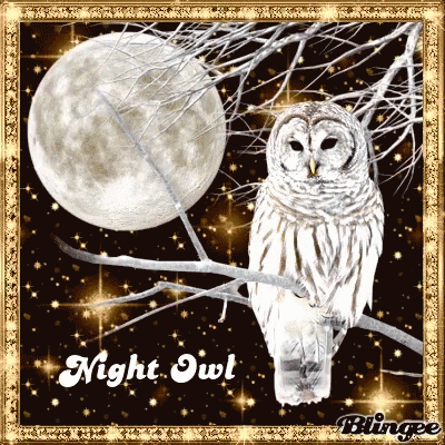 Night Owl GIF - Night Owl GIFs