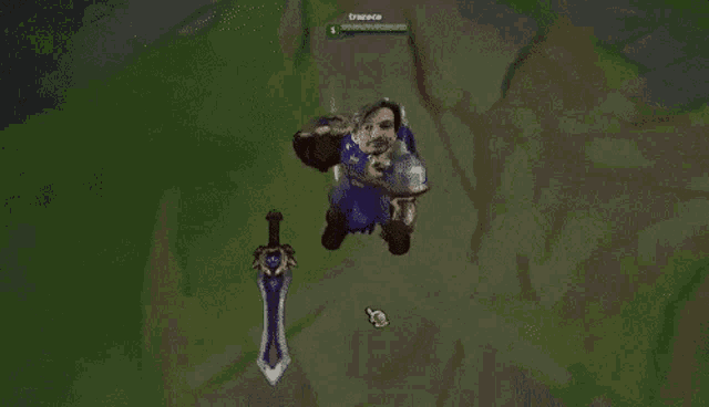 a video game character is holding a sword and shield while standing in the grass