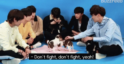 Dogs Dont Fight GIF