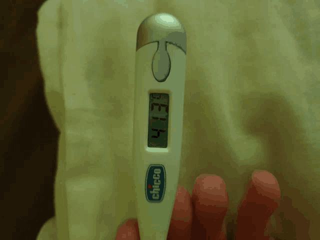 a chicco digital thermometer shows a temperature of 41.3 degrees celsius