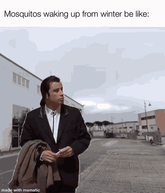 Mosquitos Waking Up From Winter Be Like Lost GIF - Mosquitos Waking Up From Winter Be Like Lost John Travolta GIFs