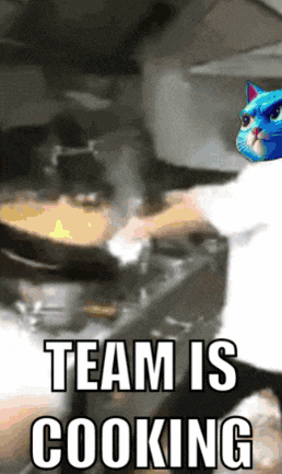 a picture of a cat with the words team is cooking