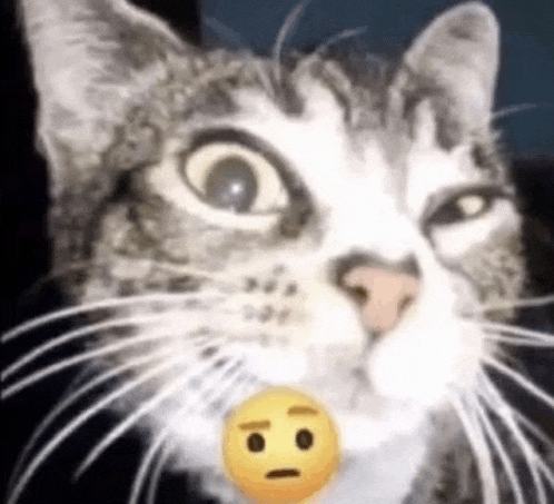 a close up of a cat 's face with a yellow smiley face in its mouth .