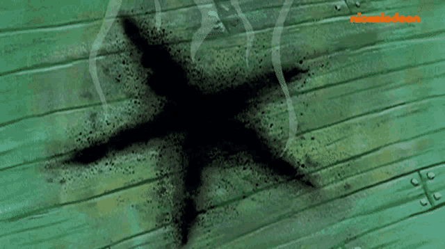 a starfish is painted on a wooden surface with a nickelodeon logo in the corner