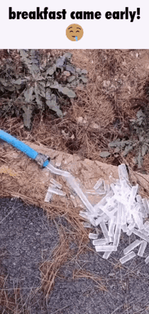 a hose with ice cubes coming out of it is laying on the ground .