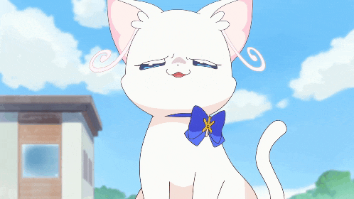 a white cat with a blue bow around its neck is sitting in front of a building
