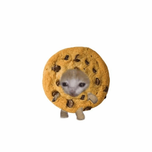 Cat Cookie GIF