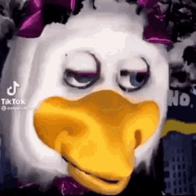 Duck What GIF - Duck What Uhhhh GIFs