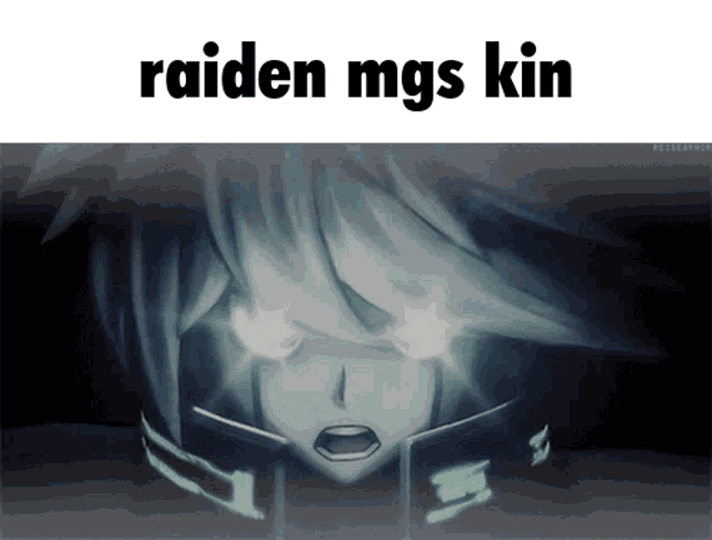 a picture of a person with the words " raiden mgs kin " on top of it