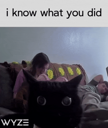 a black cat laying on a couch with the words " i know what you did " at the top