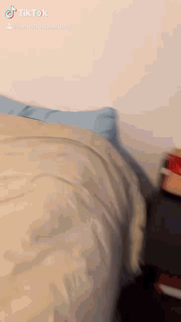 Dnd Nat1 GIF - Dnd Nat1 Going To Bed GIFs