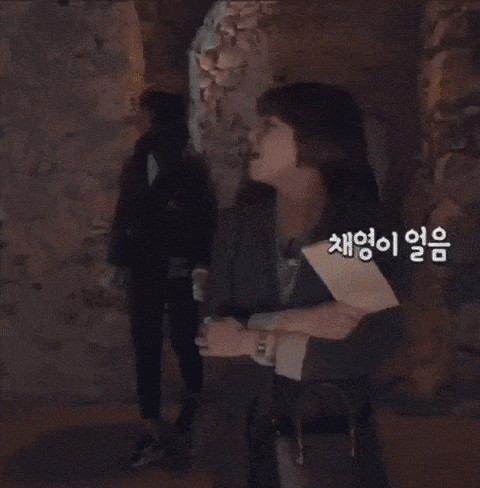 Jeong43a Chaeyoung GIF - Jeong43a Chaeyoung GIFs