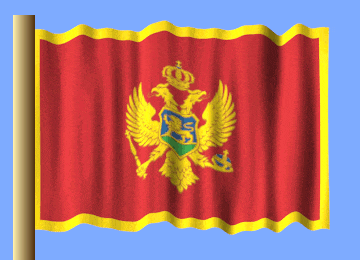 a red flag with a yellow border and a crown on it